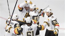 Gólová radost hokejistů Vegas Golden Knights. Gólová radost hokejistů Vegas Golden Knights.