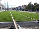 Rekonstrukce tramvajové trati v úseku Průběžná - Vozovna Strašnice vrcholí. Na tramvajovém pásu už hezky roste tráva Rekonstrukce tramvajové trati v úseku Průběžná - Vozovna Strašnice vrcholí. Na tramvajovém pásu už hezky roste tráva