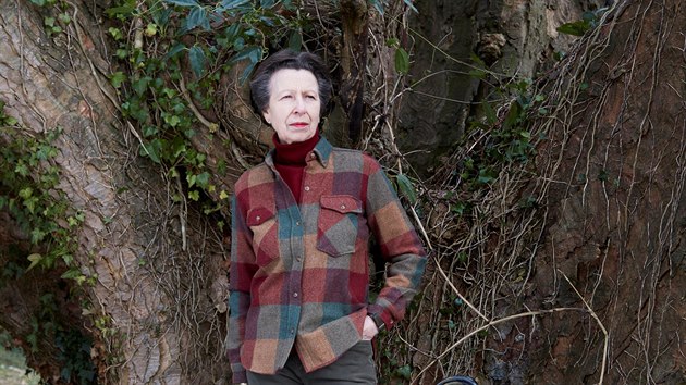 Britsk&aacute; princezna Anna na ofici&aacute;ln&iacute;m portr&eacute;tu k jej&iacute;m 70. narozenin&aacute;m. Sn&iacute;mek byl poř&iacute;zen v princeznině venkovsk&eacute;m s&iacute;dle Gatcombe Park.