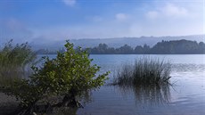 Švýcarské jezero Hallwilersee Švýcarské jezero Hallwilersee