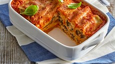 Cannelloni s rajčatovým ragú Cannelloni s rajčatovým ragú