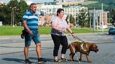 Nevidomí lidé ve zlínských ulicích procvičovali rutinní, ale i neobvyklé... Nevidomí lidé ve zlínských ulicích procvičovali rutinní, ale i neobvyklé...