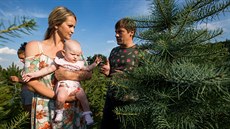 Zákazníci si 11. srpna 2020 vybírají vánoční stromek na plantáži v prostějovské... Zákazníci si 11. srpna 2020 vybírají vánoční stromek na plantáži v prostějovské...