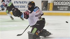 Sparťanský brankář Matěj Machovský v zápase s Budějovicemi Sparťanský brankář Matěj Machovský v zápase s Budějovicemi