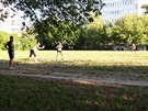 Skupina lidí hrající baseball na Sídlišti Solidarita v Praze 10 - Strašnicích v ulici Brigádníků. Skupina lidí hrající baseball na Sídlišti Solidarita v Praze 10 - Strašnicích v ulici Brigádníků.