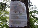 Procházka podél Hostivařské přehrady je nyní doplněna o Kvízovou stezku. Na každém archu papíru je kvízová otázka a na druhé straně si můžeme zkontrolovat správnou odpověď. Škoda, že u některých archů nevydržely napínáčky - možná by pomohla lepící páska. Procházka podél Hostivařské přehrady je nyní doplněna o Kvízovou stezku. Na každém archu papíru je kvízová otázka a na druhé straně si můžeme zkontrolovat správnou odpověď. Škoda, že u některých archů nevydržely napínáčky - možná by pomohla lepící páska.