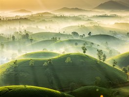 Tajemné vietnamské ajové kopce Long Coc zachycené v ranní mlze, kdy se na...