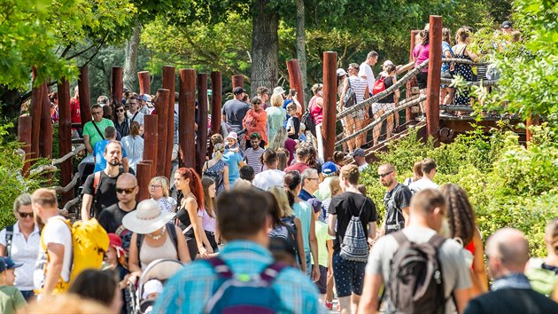 Davy návštěvníků v zoo ve Dvoře Králové (7. 8. 2020)