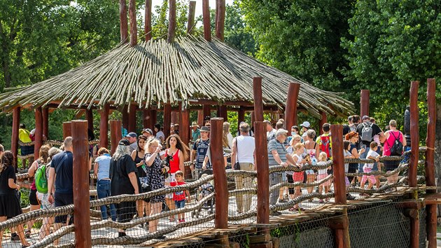 Davy návštěvníků v zoo ve Dvoře Králové (7. 8. 2020)