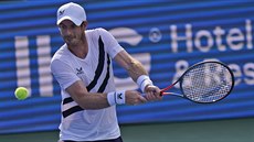 Brit Andy Murray se soustředí na bekhend na turnaji v New Yorku. Brit Andy Murray se soustředí na bekhend na turnaji v New Yorku.