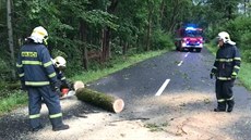 Bouřky a silný vítr se přehnaly v sobotu v části Olomouckého kraje (22. srpna... Bouřky a silný vítr se přehnaly v sobotu v části Olomouckého kraje (22. srpna...