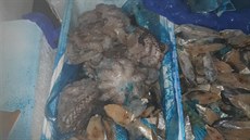 Ryby a mořské plody v dodávce zapáchaly, teplota ve voze byla až šest stupňů... Ryby a mořské plody v dodávce zapáchaly, teplota ve voze byla až šest stupňů...