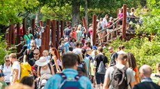 Davy návštěvníků v zoo ve Dvoře Králové (7. 8. 2020) Davy návštěvníků v zoo ve Dvoře Králové (7. 8. 2020)