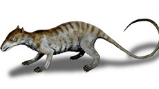 Mezi pravděpodobné původce rýh po okusu na dinosauří fosilii patří také... Mezi pravděpodobné původce rýh po okusu na dinosauří fosilii patří také...