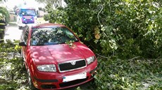 Vítr v Praze kácel stromy, nkteré popadaly na zaparkovaná auta. (26. srpna...