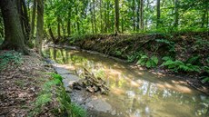 Kanál Alba poblíž Lípy nad Orlicí na Rychnovsku Kanál Alba poblíž Lípy nad Orlicí na Rychnovsku