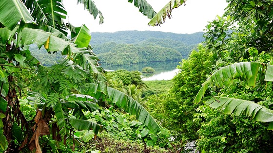 Tichomosk Palau