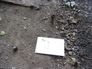 Cesta podél Botiče v blízkost ohrady s koňmi je pro cyklisty nebezpečná. Cesta podél Botiče v blízkost ohrady s koňmi je pro cyklisty nebezpečná.