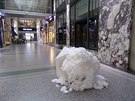 Radek Směták vystavuje v pasáži Koruna dílo Křehká existence. Radek Směták vystavuje v pasáži Koruna dílo Křehká existence.