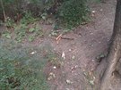 V parku na cestičce, propojující ulice Kováků a Bieblovu, je lavička. Na stráni pod lavičkou je doslova skládka obalů od všeho, co lidé na lavičce zkonzumují. V parku na cestičce, propojující ulice Kováků a Bieblovu, je lavička. Na stráni pod lavičkou je doslova skládka obalů od všeho, co lidé na lavičce zkonzumují.