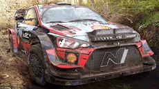 WRC 9