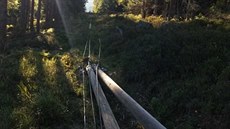 Jedenáct sloupů s elektrickým vedením strhl šofér, který v lese u Špičáku... Jedenáct sloupů s elektrickým vedením strhl šofér, který v lese u Špičáku...