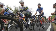 Peleton mužského závodu na světovém šampionátu v Imole. Peleton mužského závodu na světovém šampionátu v Imole.