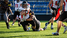 Mustangs se na státní svátek představí v Hostivaři
