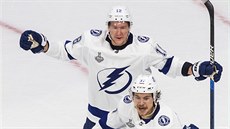 Radost hokejistů Tampy ve finále Stanley Cupu, s číslem 18 je Ondřej Palát. Radost hokejistů Tampy ve finále Stanley Cupu, s číslem 18 je Ondřej Palát.