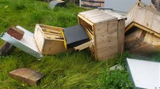Neznámý vandal v centru Brna zničil úly, obě včelstva v nich žijící uhynula. Neznámý vandal v centru Brna zničil úly, obě včelstva v nich žijící uhynula.