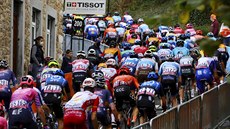 Cyklistický peloton stoupá na Mur de Huy bhem klasiky Valonský íp.