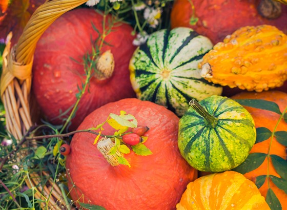 Typickou podzimní zeleninu nyní prodávají na kadém triti i v supermarketech....
