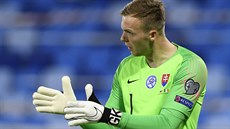 Branká Slovenska Marek Rodák bhem utkání play off Ligy národ s Irskem.