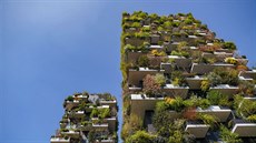 Projekt nazvaný Bosco Verticale navrhl slavný italský architekt Stefano Boeri. Projekt nazvaný Bosco Verticale navrhl slavný italský architekt Stefano Boeri.