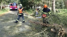 Kvůli silnému větru vyjížděli hasiči na Zlínsku od nočních hodin k desítkám... Kvůli silnému větru vyjížděli hasiči na Zlínsku od nočních hodin k desítkám...