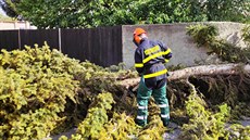 Kvůli silnému větru vyjížděli hasiči Olomouckého kraje k desítkám událostí. (3.... Kvůli silnému větru vyjížděli hasiči Olomouckého kraje k desítkám událostí. (3....