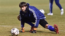 Alexandr Šovkovskij během tréninku na momentce v roce 2016 Alexandr Šovkovskij během tréninku na momentce v roce 2016