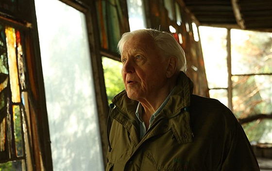 David Attenborough ve své filmové zpovdi 
