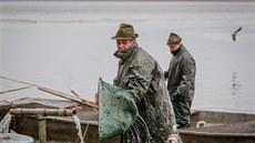 V roce 2019 dorazilo k Rožmberku na výlov 50 tisíc lidí. Sledovali rybáře při... V roce 2019 dorazilo k Rožmberku na výlov 50 tisíc lidí. Sledovali rybáře při...