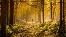 Intuitivně to tušíme, sami na sobě to zažíváme. Procházky v přírodě pomáhají.... Intuitivně to tušíme, sami na sobě to zažíváme. Procházky v přírodě pomáhají....
