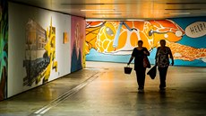 Studenti letos v květnu nechali pomalovat podchod u vlakového nádraží v Českých... Studenti letos v květnu nechali pomalovat podchod u vlakového nádraží v Českých...