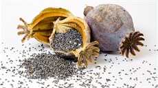 Makovice skrývají pravý nutriční poklad: jeho semena jsou bohatým zdrojem... Makovice skrývají pravý nutriční poklad: jeho semena jsou bohatým zdrojem...