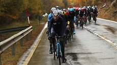 Exmistr světa Alejandro Valverde v čele skupiny, která se snažila pláchnout... Exmistr světa Alejandro Valverde v čele skupiny, která se snažila pláchnout...