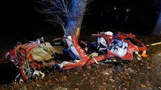 Náraz do stromu u Nových Hradů nepřežili tři lidé Náraz do stromu u Nových Hradů nepřežili tři lidé