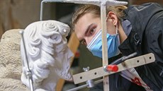 Učit studenty praxi na dálku je velmi složité. Ti, kteří mohou, pracují z... Učit studenty praxi na dálku je velmi složité. Ti, kteří mohou, pracují z...