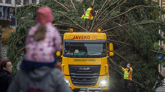 Na náměstí Dr. Edvarda Beneše v Liberci přivezli 17. listopadu 2020 vánoční strom, douglasku tisolistou. Vyrůstala v zahrádkářské kolonii v Horním Hanychově.