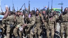 Etiopská armáda zahájila ofenzivu proti vzpurnému regionu Tigraj na severu...