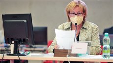 Krajští zastupitelé na ustavujícím zasedání v karlovarské hale míčových sportů.... Krajští zastupitelé na ustavujícím zasedání v karlovarské hale míčových sportů....