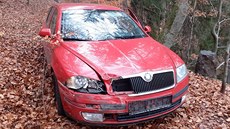 Řidič kradeného auta zmizel celníkům v lese mezi obcemi Borová a Sendraž na... Řidič kradeného auta zmizel celníkům v lese mezi obcemi Borová a Sendraž na...