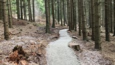 Nová síť singletracků vzniká v okolí Suchého vrchu v Orlických horách. Hotovo... Nová síť singletracků vzniká v okolí Suchého vrchu v Orlických horách. Hotovo...
